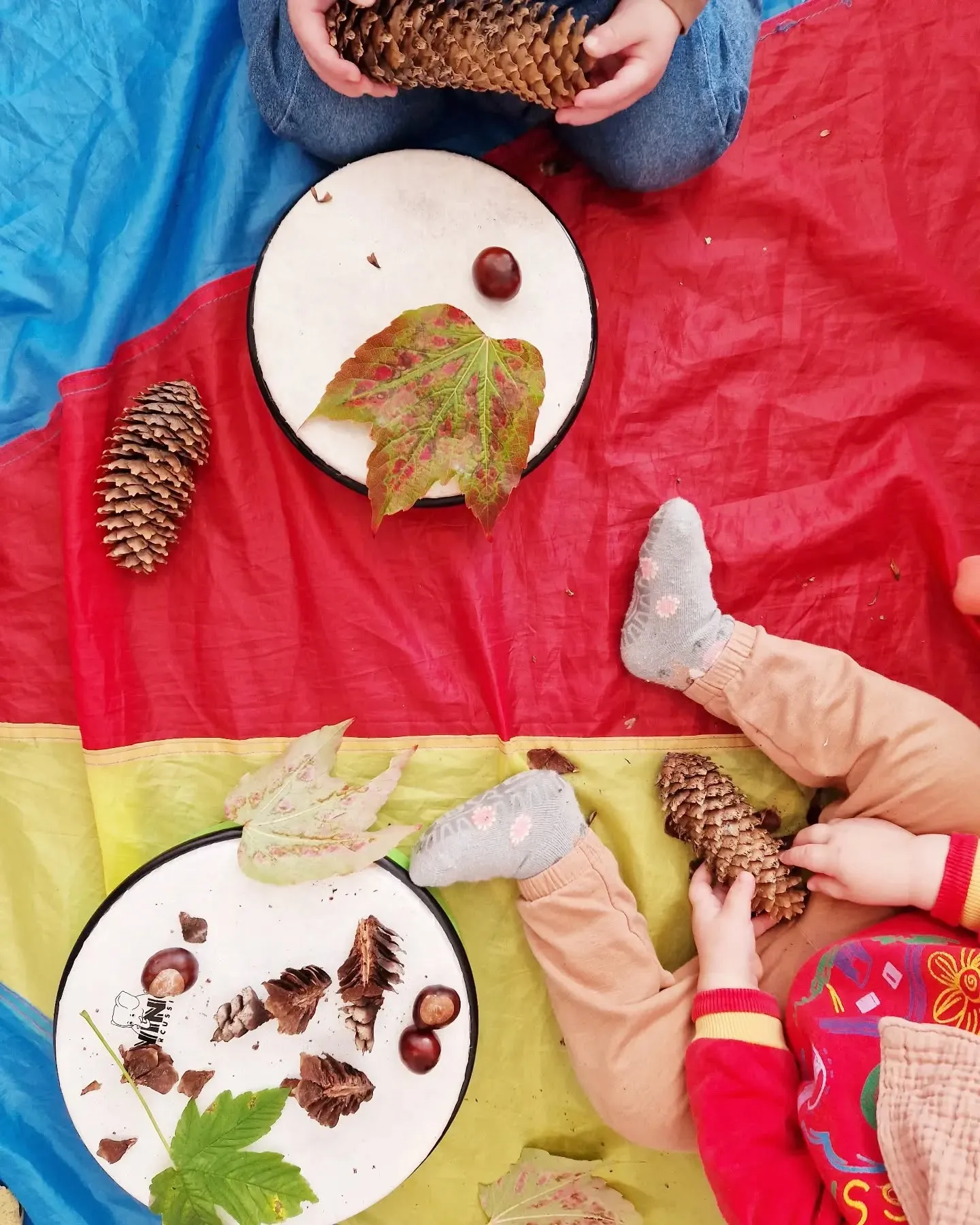 Zwei Kleinkinder halten Tannenzapfen, vor ihnen liegen Kastanien und Herbstblätter auf zwei Handtrommeln und einem bunten Schwungtuch, von oben fotografiert